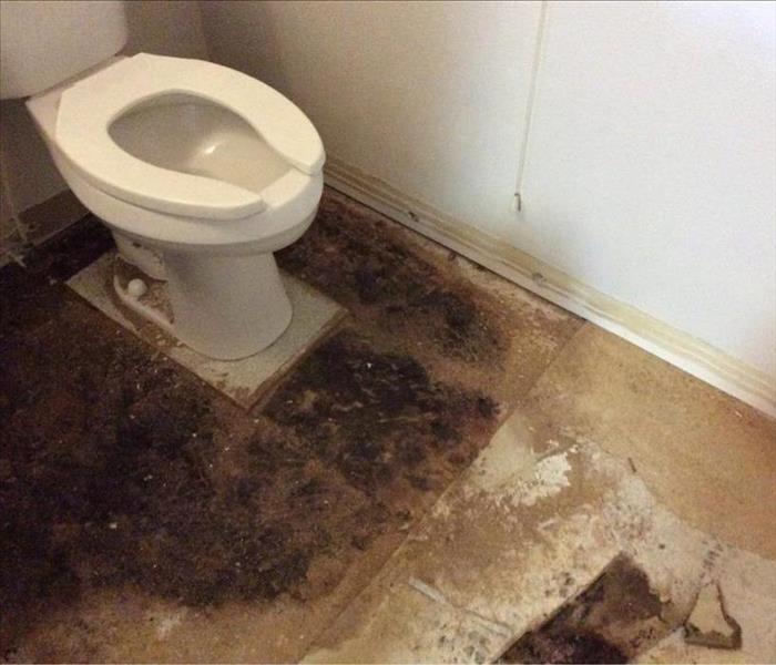 Water leak from the toilet.